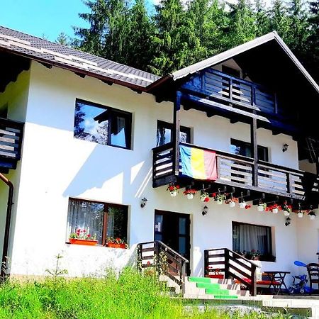 Pensiunea Vatra Bucovinei Vatra Moldoviţei Exterior foto