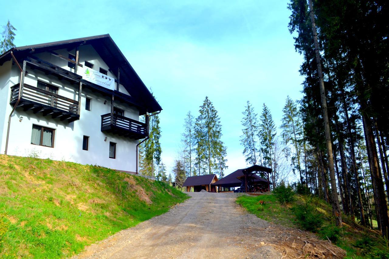 Pensiunea Vatra Bucovinei Vatra Moldoviţei Exterior foto