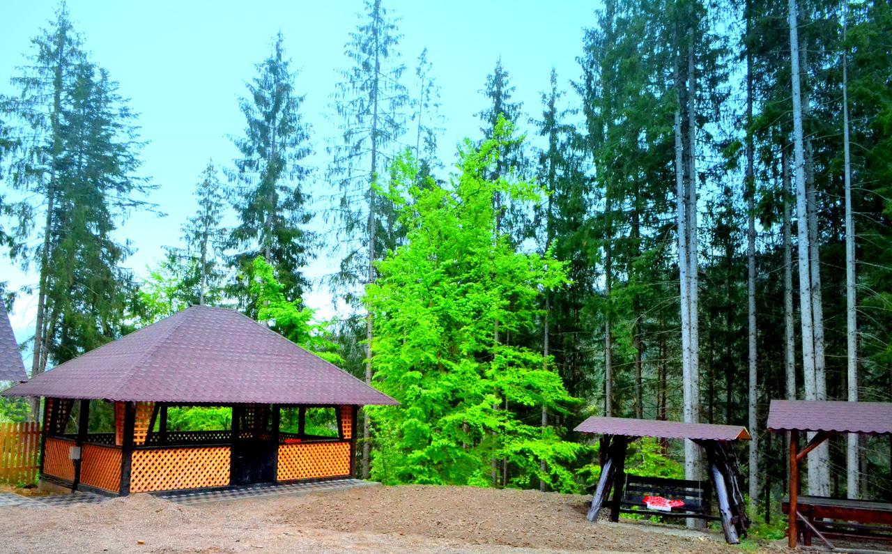 Pensiunea Vatra Bucovinei Vatra Moldoviţei Exterior foto