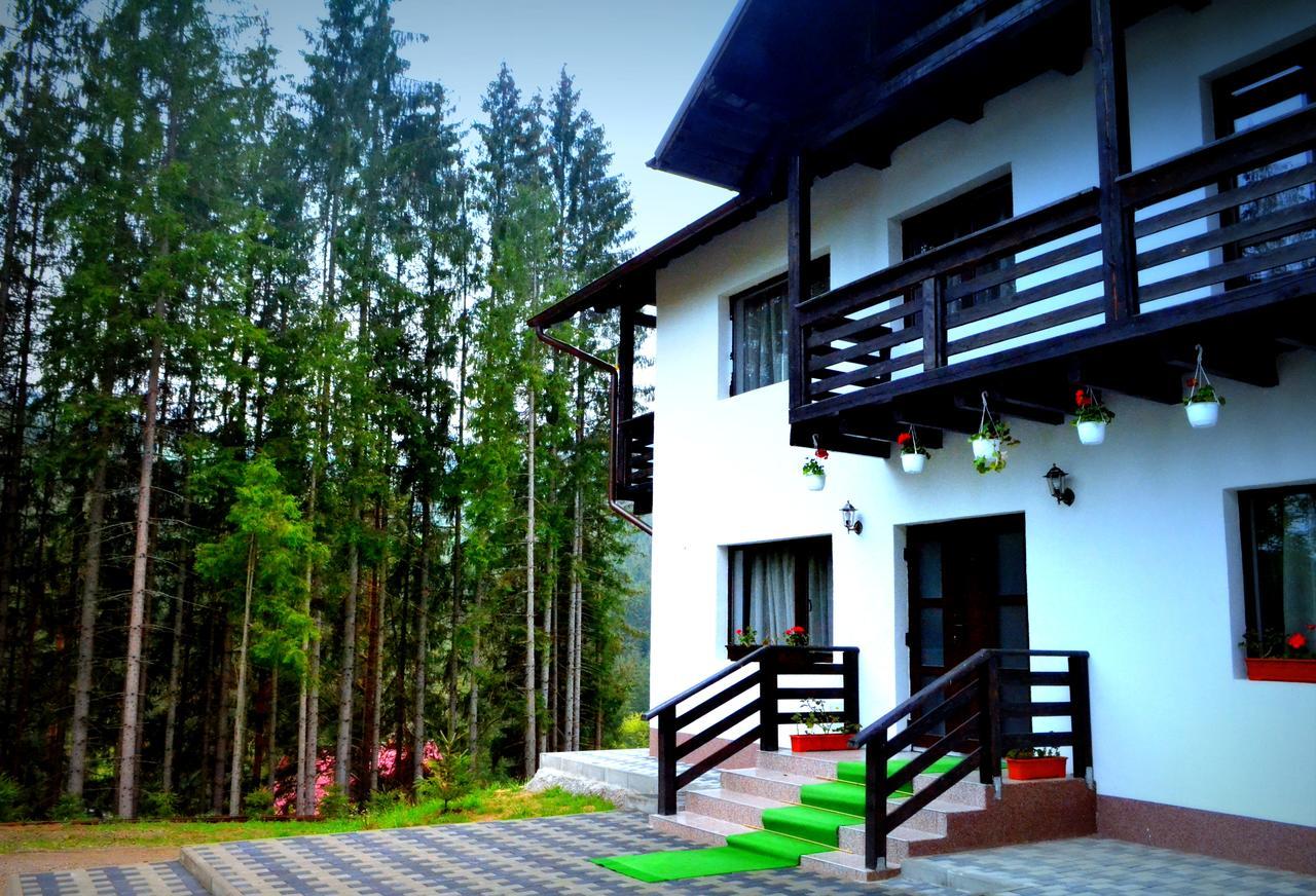 Pensiunea Vatra Bucovinei Vatra Moldoviţei Exterior foto