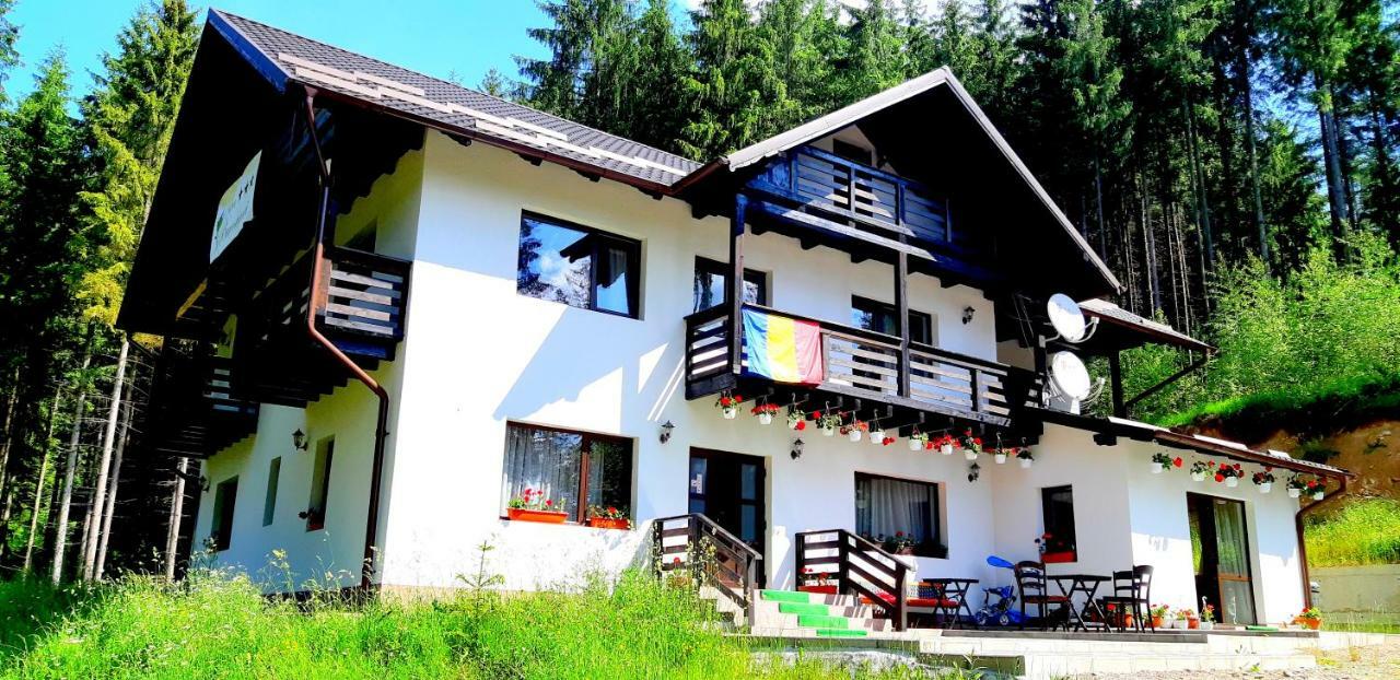 Pensiunea Vatra Bucovinei Vatra Moldoviţei Exterior foto