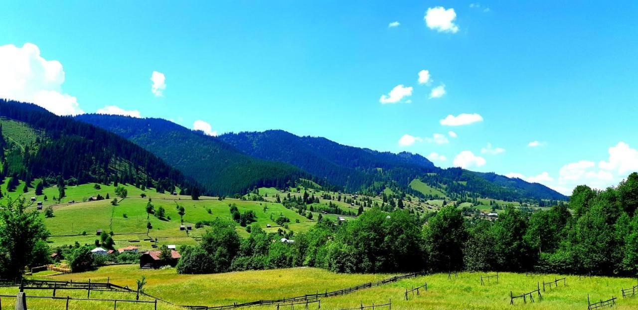 Pensiunea Vatra Bucovinei Vatra Moldoviţei Exterior foto