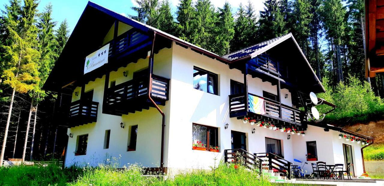 Pensiunea Vatra Bucovinei Vatra Moldoviţei Exterior foto